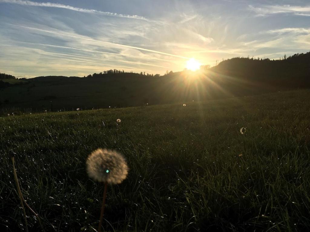 Apartament Natur Pur Im Schoenen Sauerland Allendorf  Zewnętrze zdjęcie